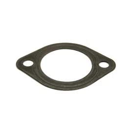 thermostat seal