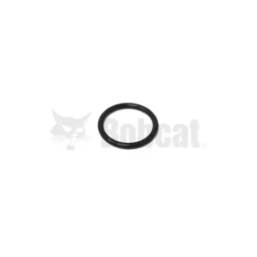 O ring